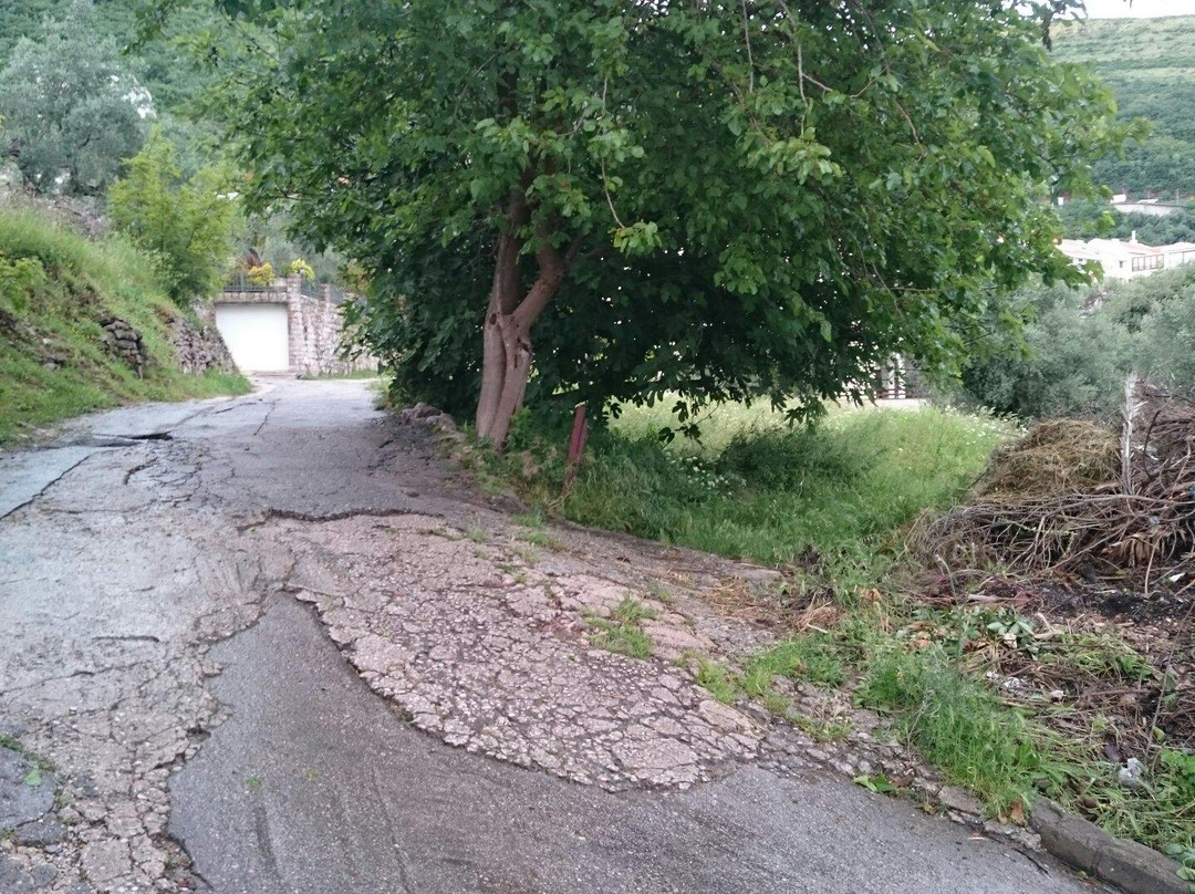 Kasnoanticki Mozaik-Petrovac必去景点