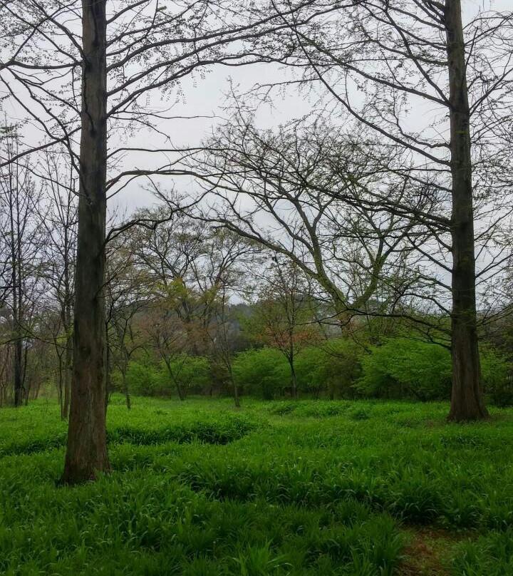 Kicheongsan Botanical Gardens-浦项市必去景点
