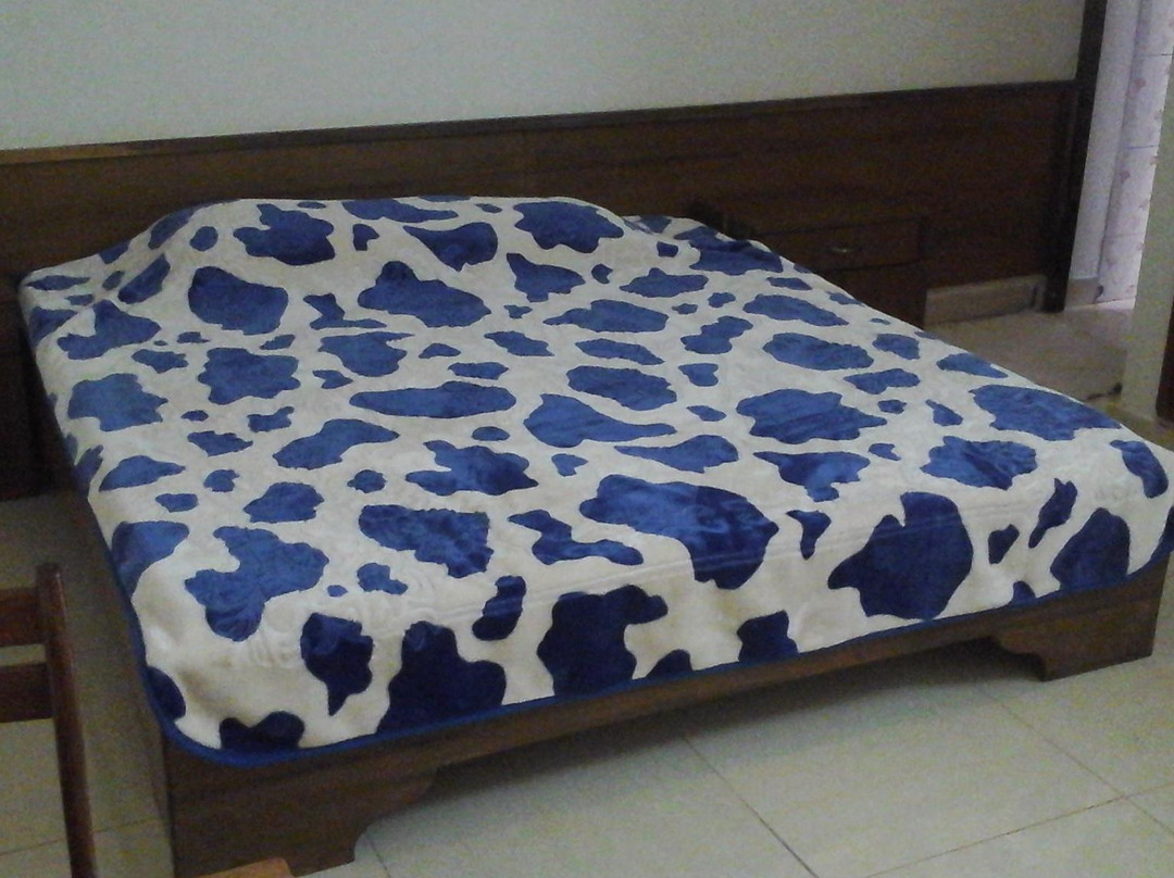 Auberge Villa Olivia主图