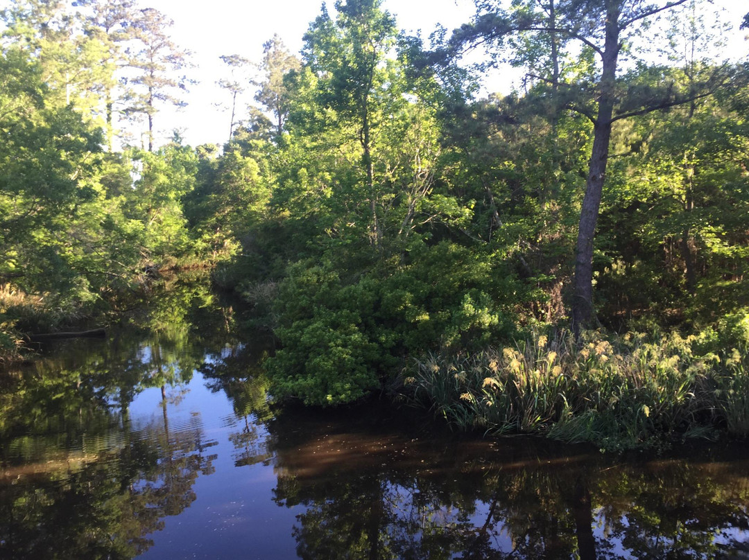 Mandeville Trailhead Cultural Interpretive Center-Mandeville必去景点