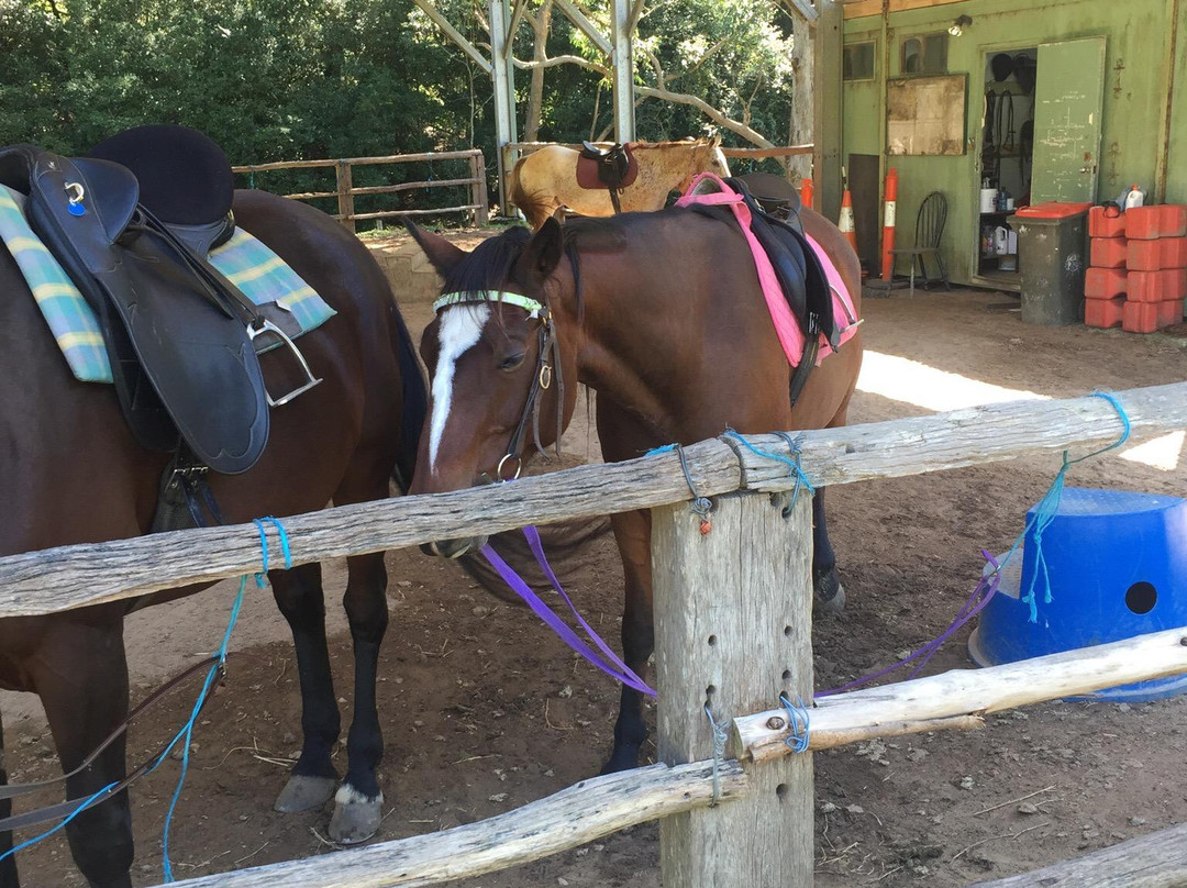 Otford Farm-Otford必去景点