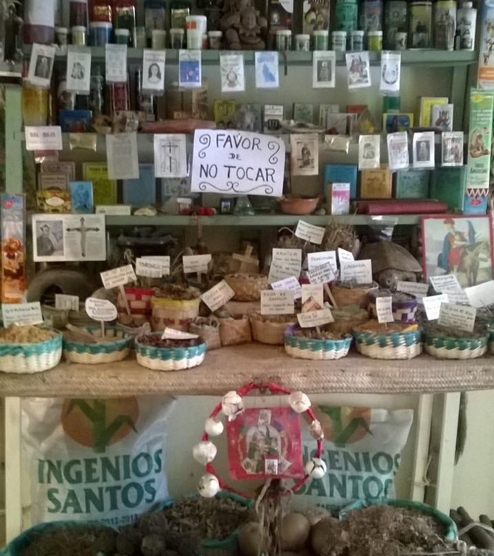 Jardin Botanico y Museo de Medicina Tradicional y Herbolaria景点图片