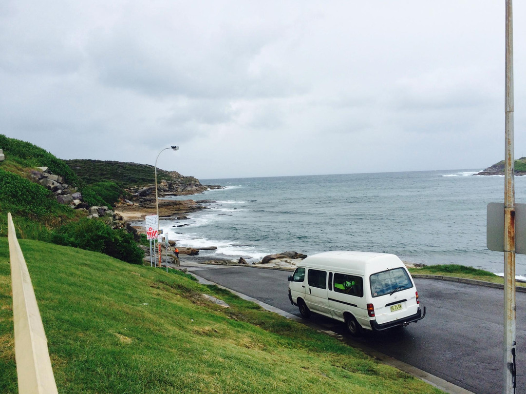 Pro Dive-悉尼必去景点