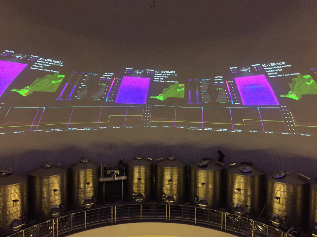 Palmaz Vineyards-纳帕必去景点