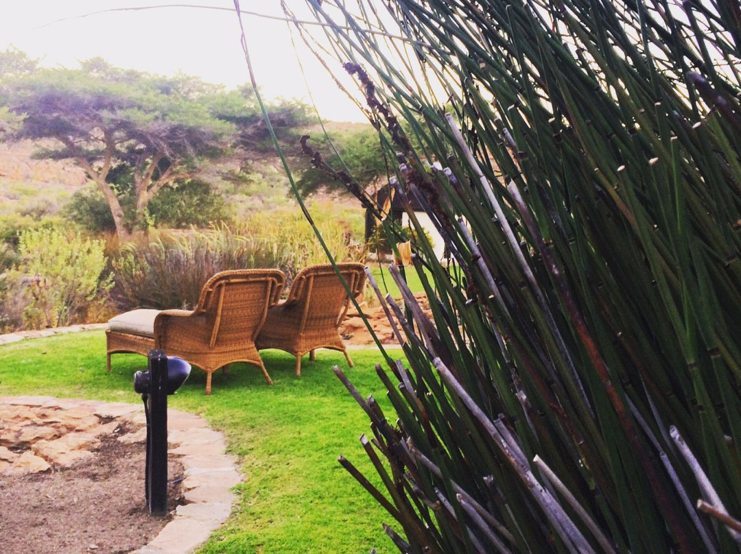 Bushmans Kloof Wilderness Reserve-西开普必去景点