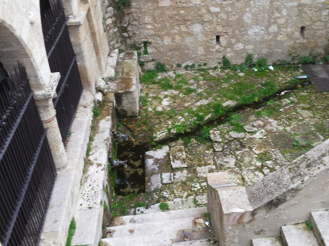 Fontaine Diane ou Hountélie景点图片