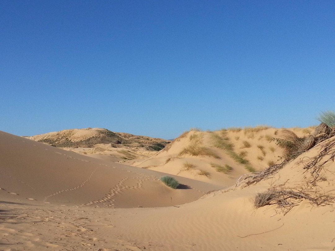 Witsand Nature Reserve-Witsand必去景点