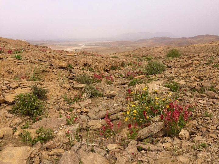 Israel Desert tours by Adam Sela-Midreshet Ben-Gurion必去景点