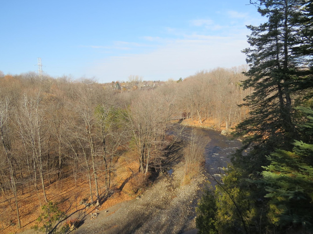 Parc Chauveau景点图片