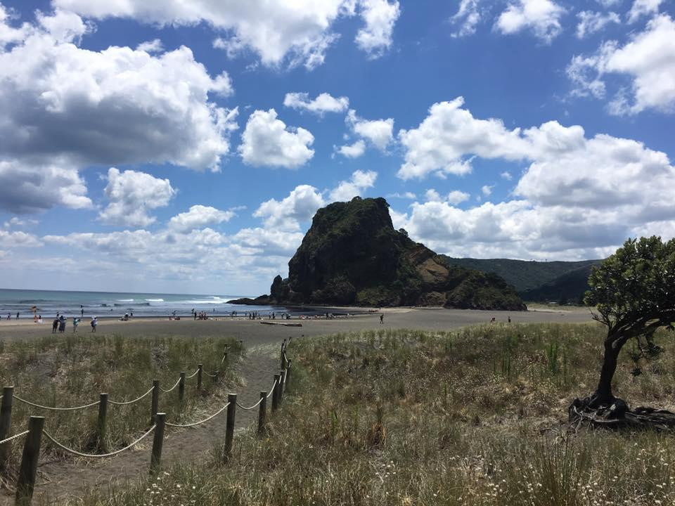 Oh Yeah Tours-皮哈海滩必去景点