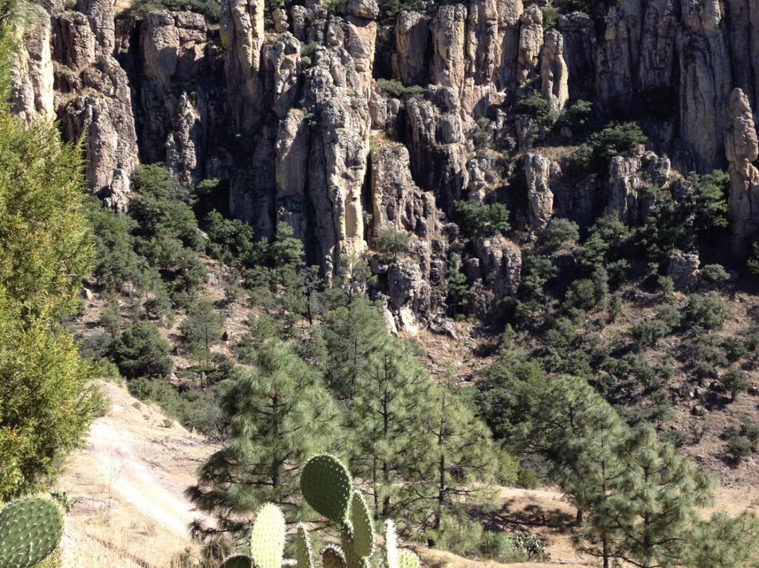 Tres Molinos-Durango必去景点