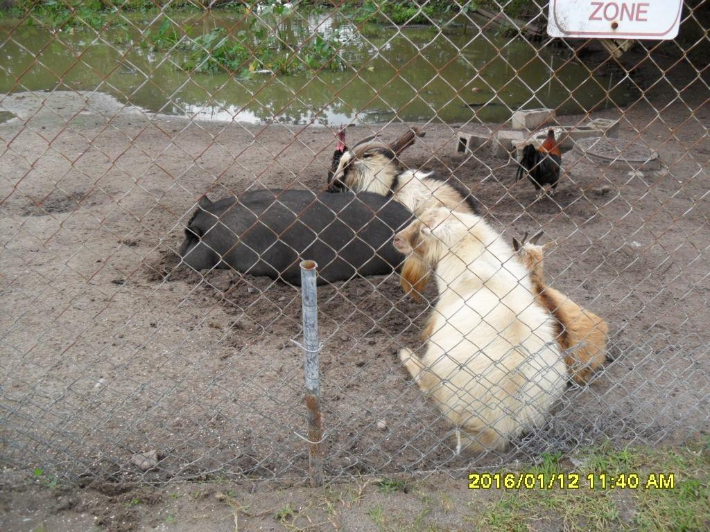 International Market World-Auburndale必去景点