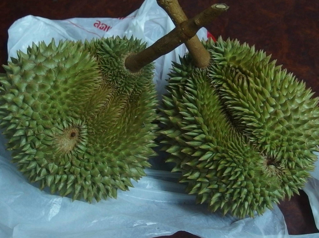 Suan Paiboon-罗勇必去景点