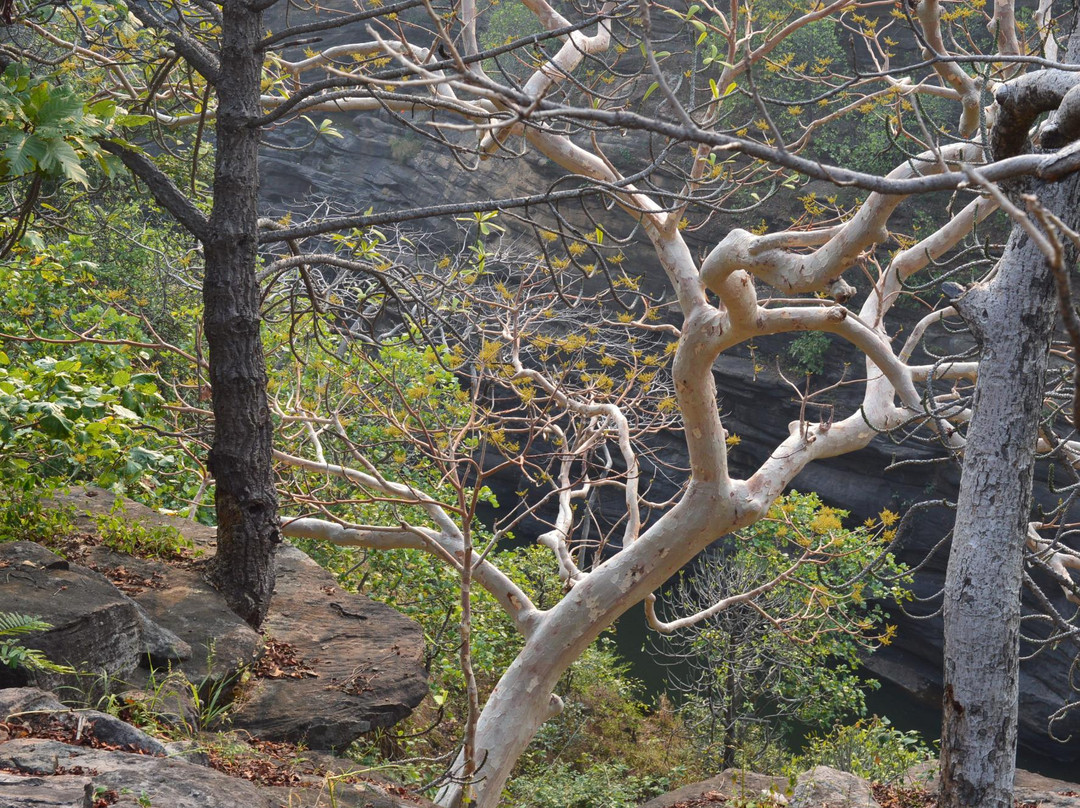 Chandra Prabha Wildlife Sanctuary景点图片