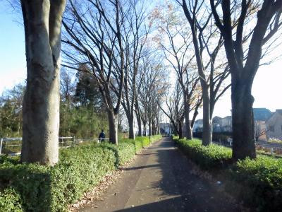 One Street-町田市必去景点