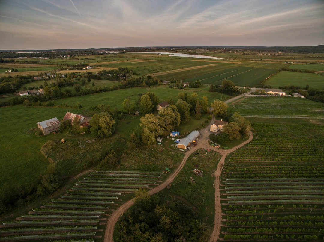 Sainte-Famille Wines Limited-Falmouth必去景点