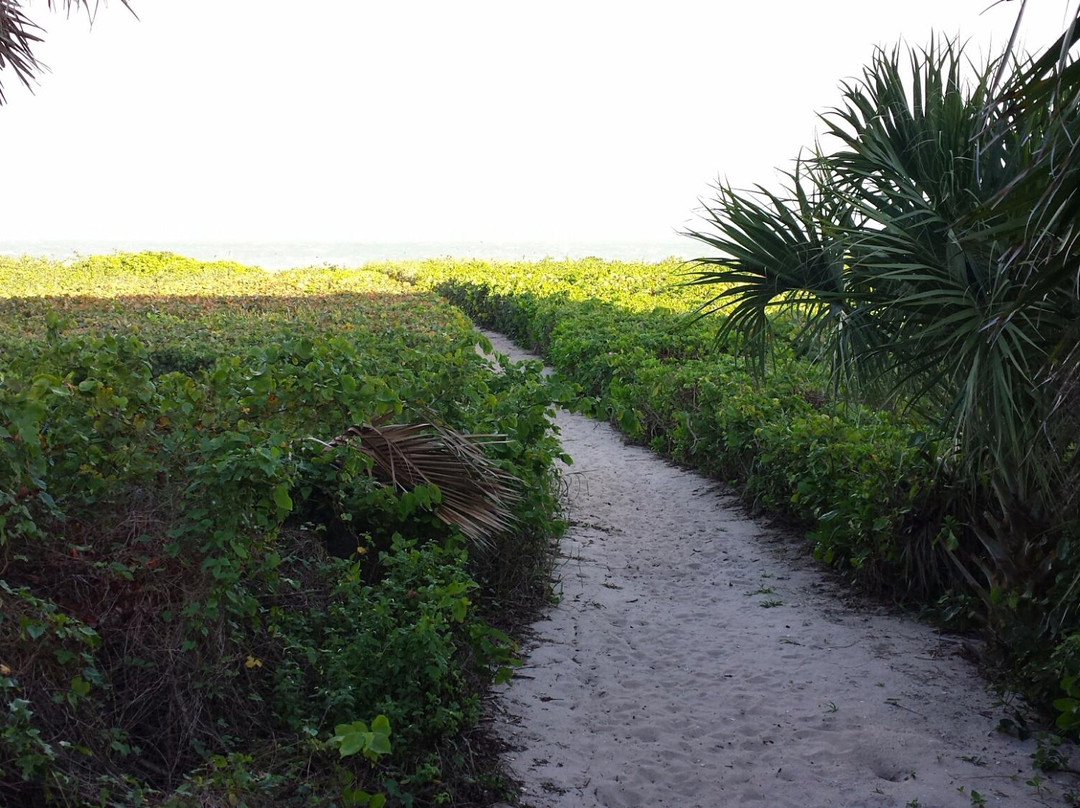 Ocean Drive-维罗海滩必去景点