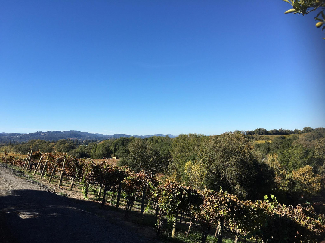 North Bay Winery Tours景点图片