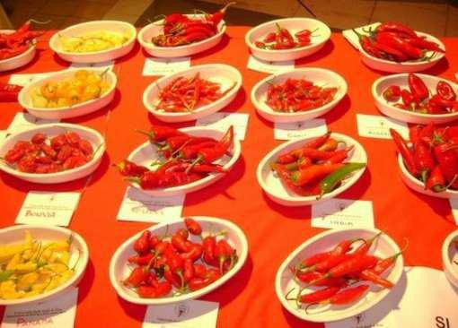 Museo del Peperoncino-Maiera必去景点