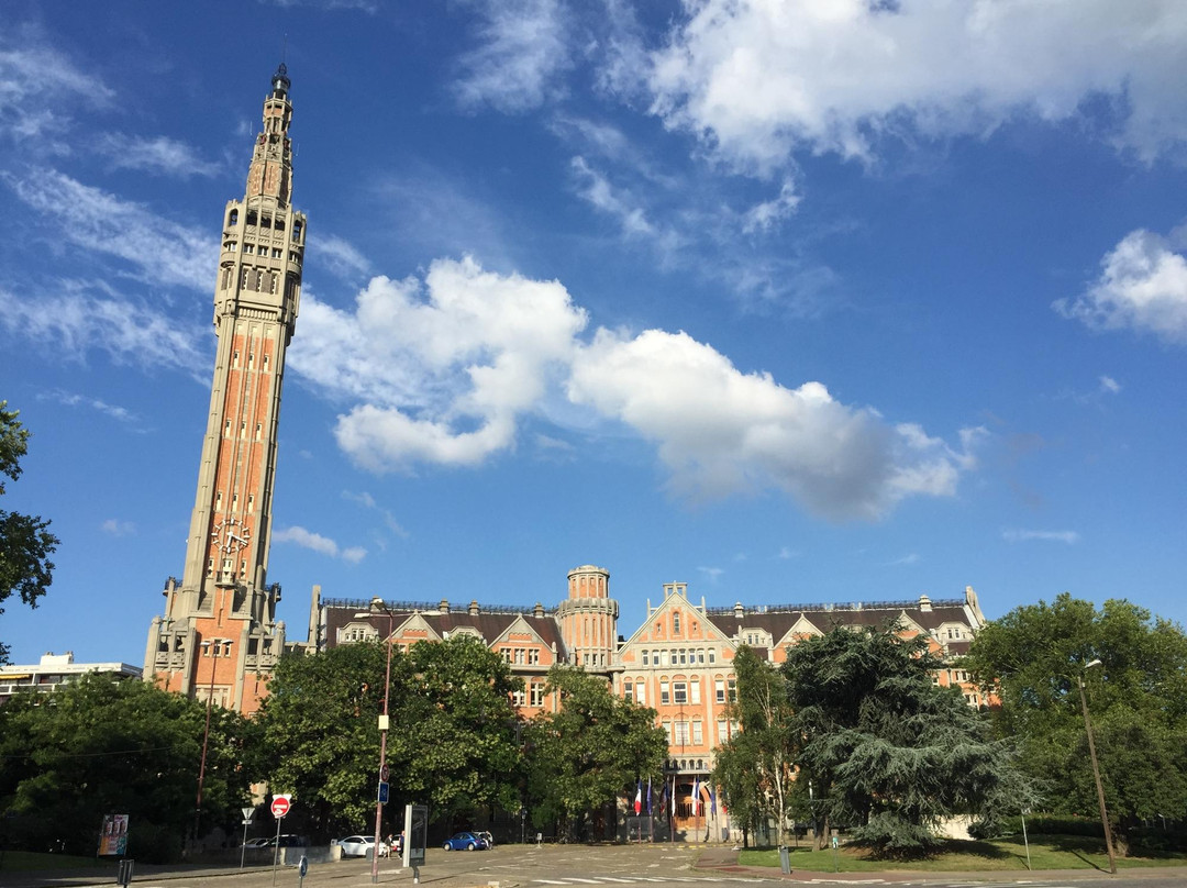 Beffroi de l'Hôtel de Ville景点图片