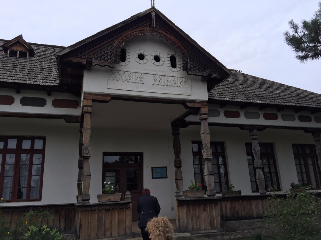 Village Museum of Valcea County景点图片