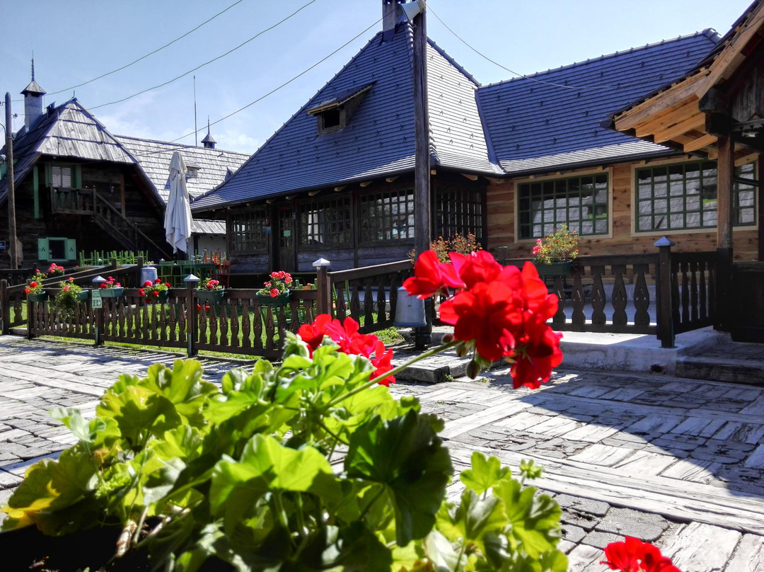 Kustendorf-Mokra Gora必去景点