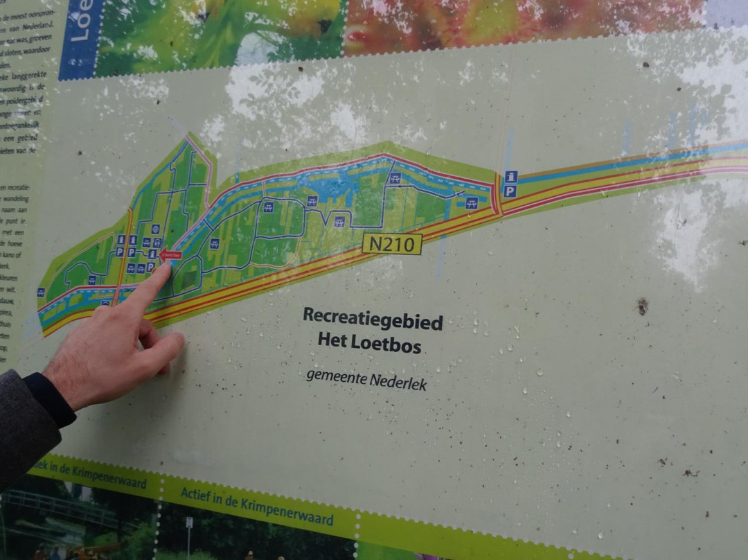 Het Loetbos景点图片