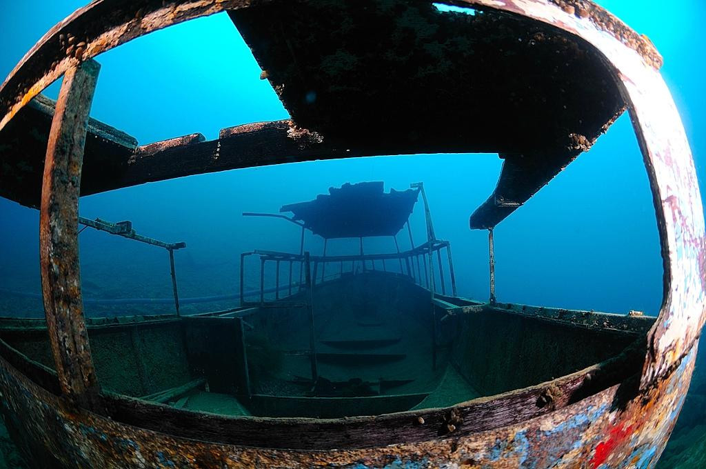 New Horizons Snorkel & Dive Centre-麦克尔斯菲尔德必去景点
