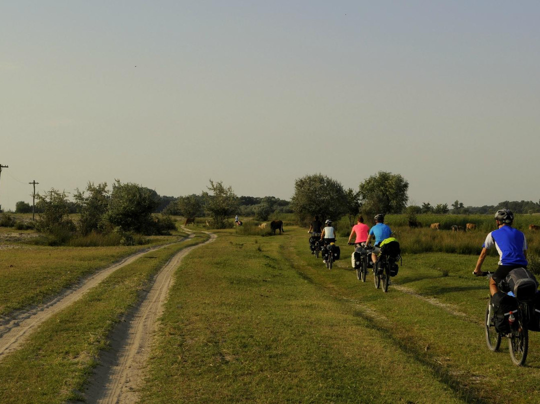 Bikealicious Romania - Day Tours-克卢日-纳波卡必去景点
