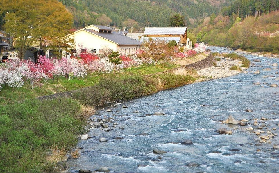 Minami Hida Osaka Hanamomo Michi-no-Eki-下吕市必去景点