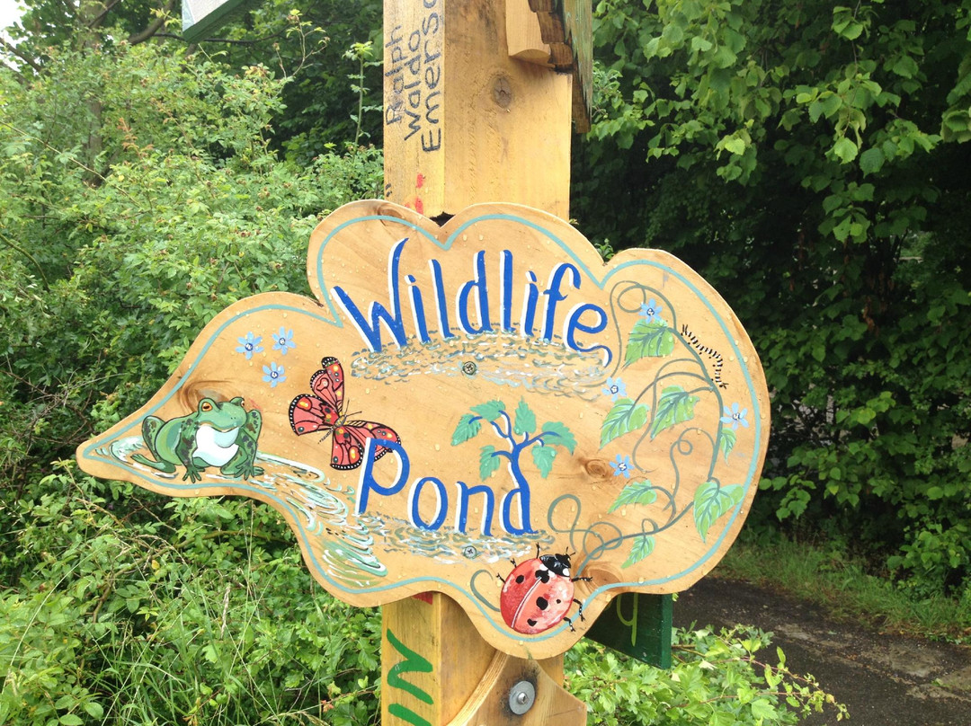 Pearson Park Wildlife Garden-赫尔河畔金斯顿必去景点