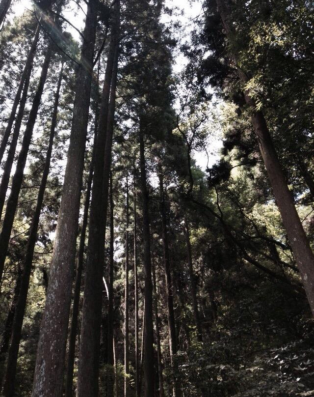 Mt. Otowa Kiyomizu Temple-夷隅市必去景点