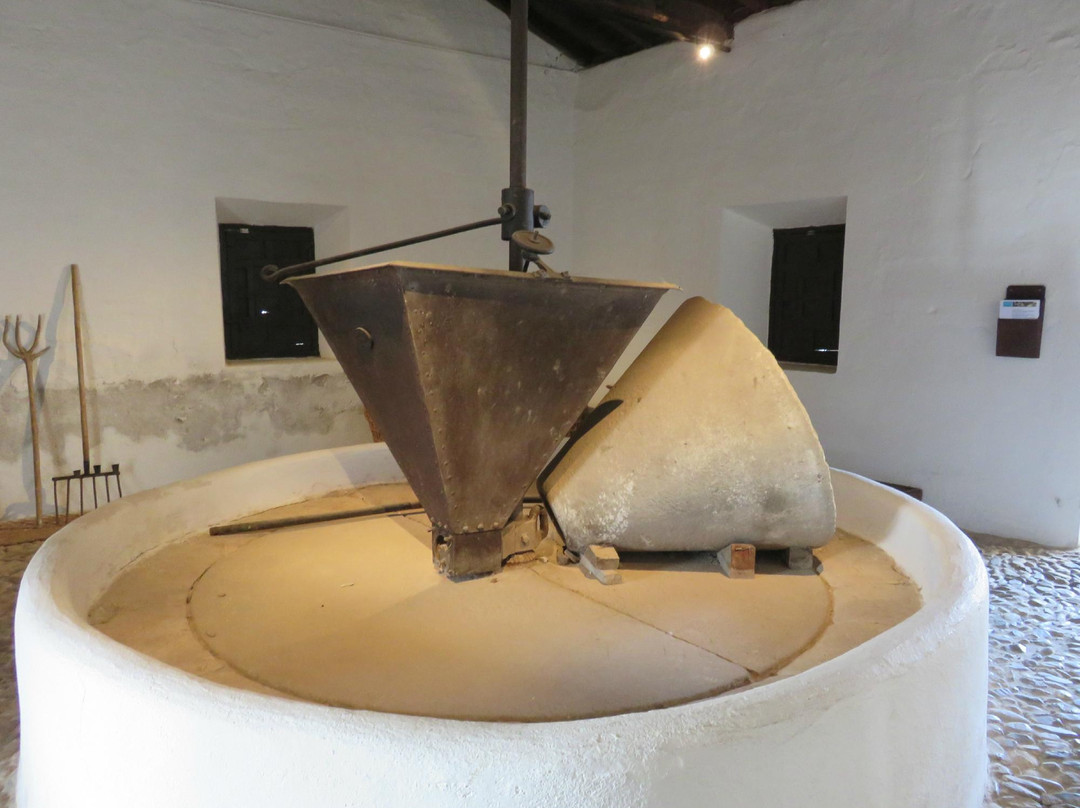 Museo-Casa de Dulcinea Del Toboso景点图片
