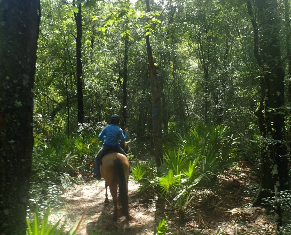 Cypress House Ranch-Bushnell必去景点