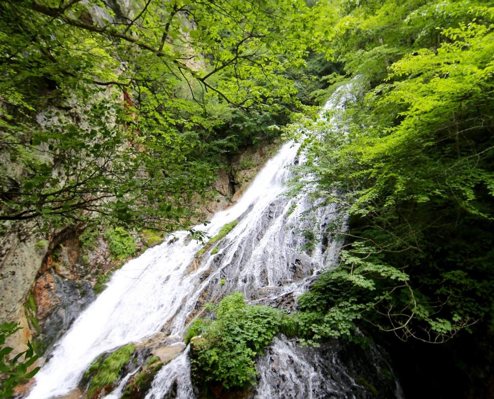 Ogura no Taki Fall景点图片