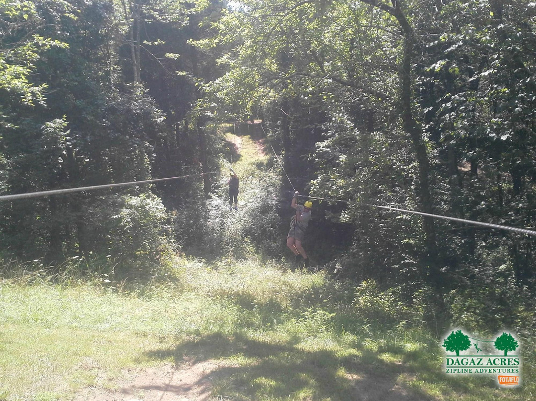 Dagaz Acres Zipline Adventures景点图片