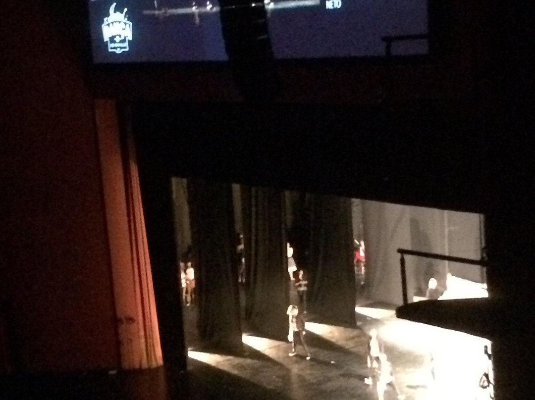 Juarez Machado Theater-Joinville必去景点