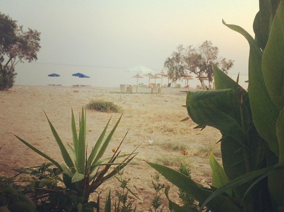 Kampos Beach-Samos Town必去景点