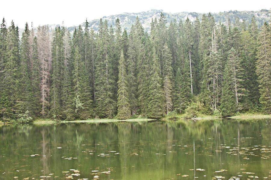 Zminje Lake景点图片