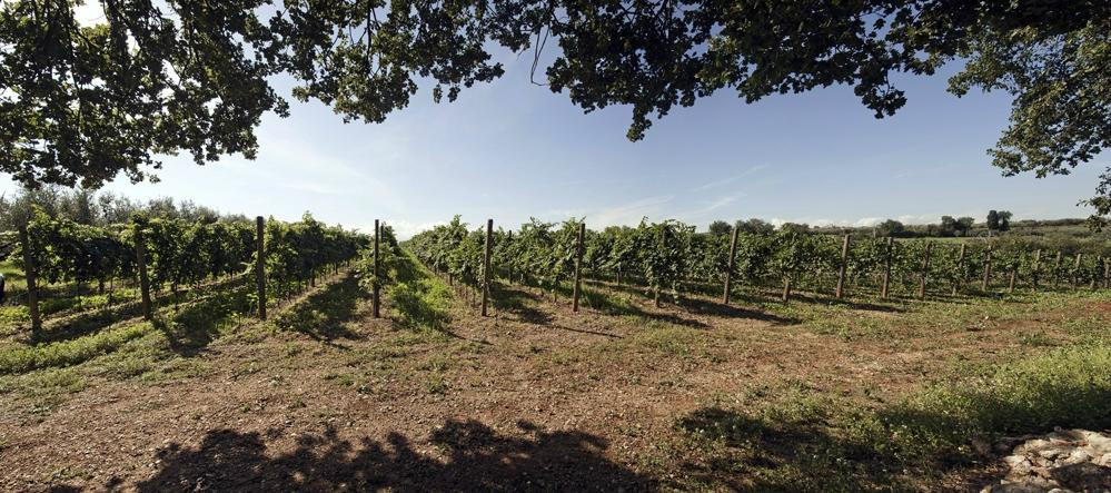 Cantina Rapino-Francavilla Al Mare必去景点