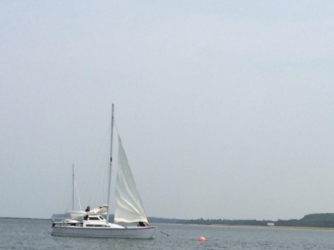 Bayshore Park景点图片