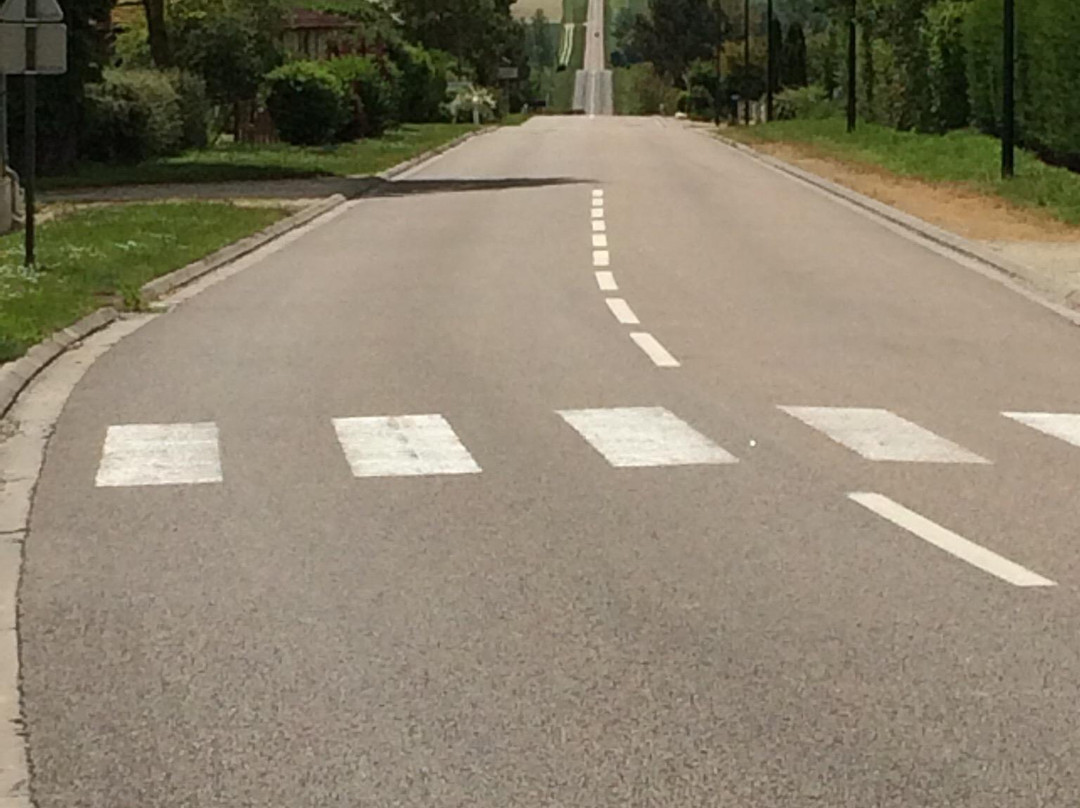 Auberge de la Pomme d'Or主图