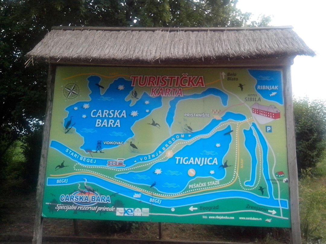 SRP Carska Bara景点图片
