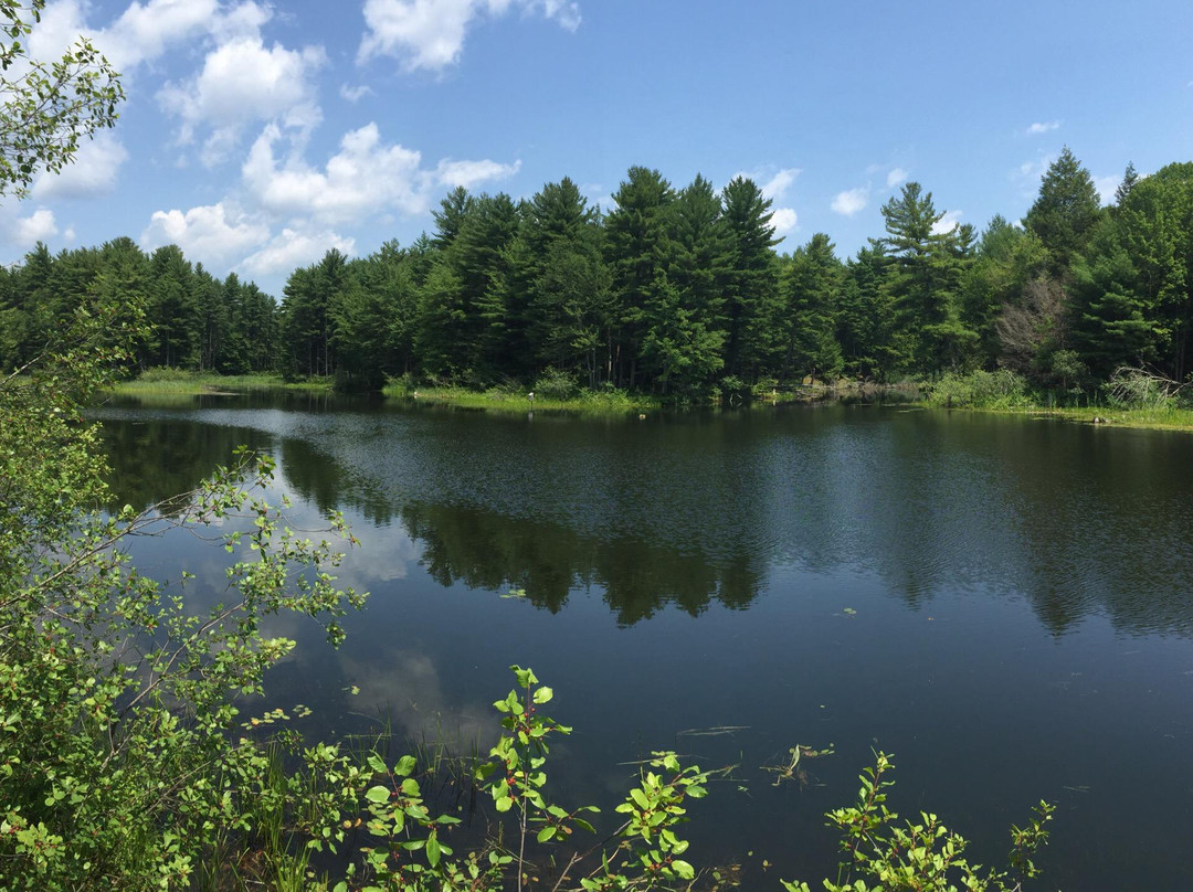 Great Bay National Wildlife Refuge景点图片