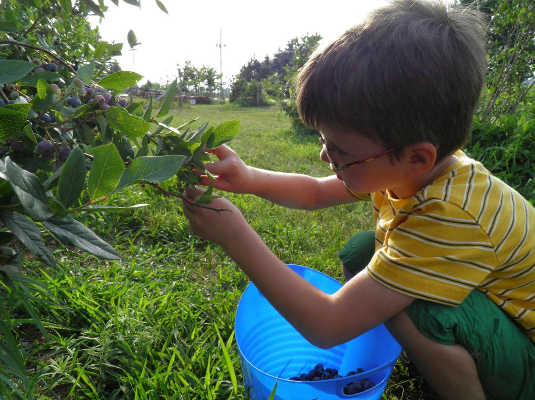 La Ferme aux Mille Cailloux-Franklin必去景点