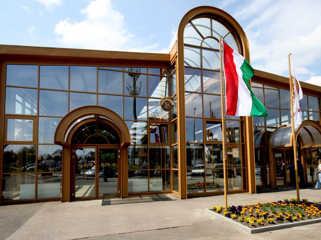 Balatonfured City Market景点图片