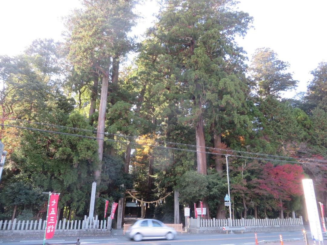 Iwa Shrine-肉粟市必去景点