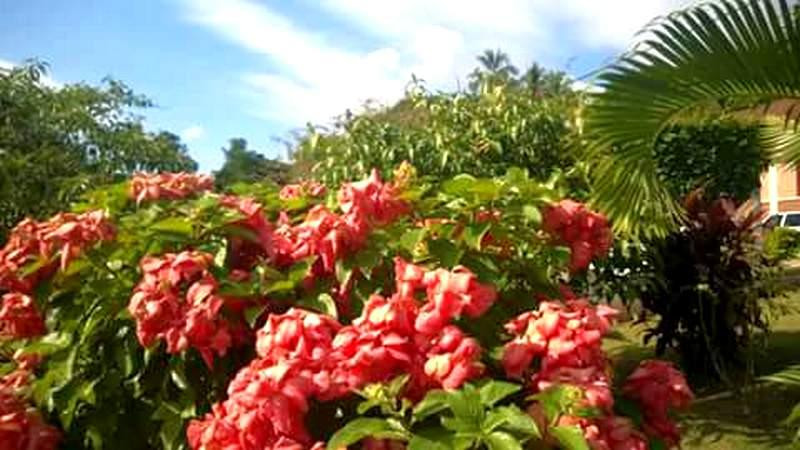 Casa-Sede da Fazenda Pau Grande-Paty do Alferes必去景点