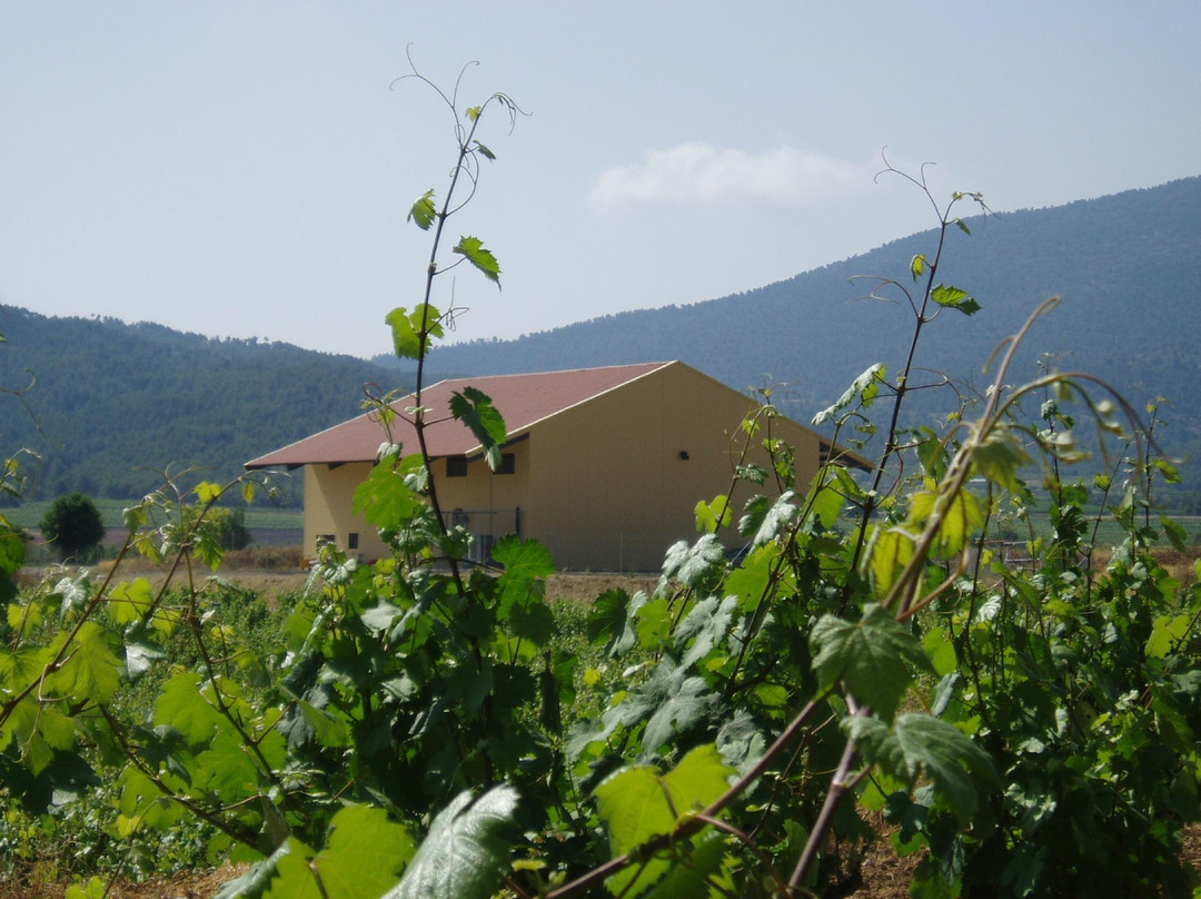 Bodega Monastrell-Bullas必去景点