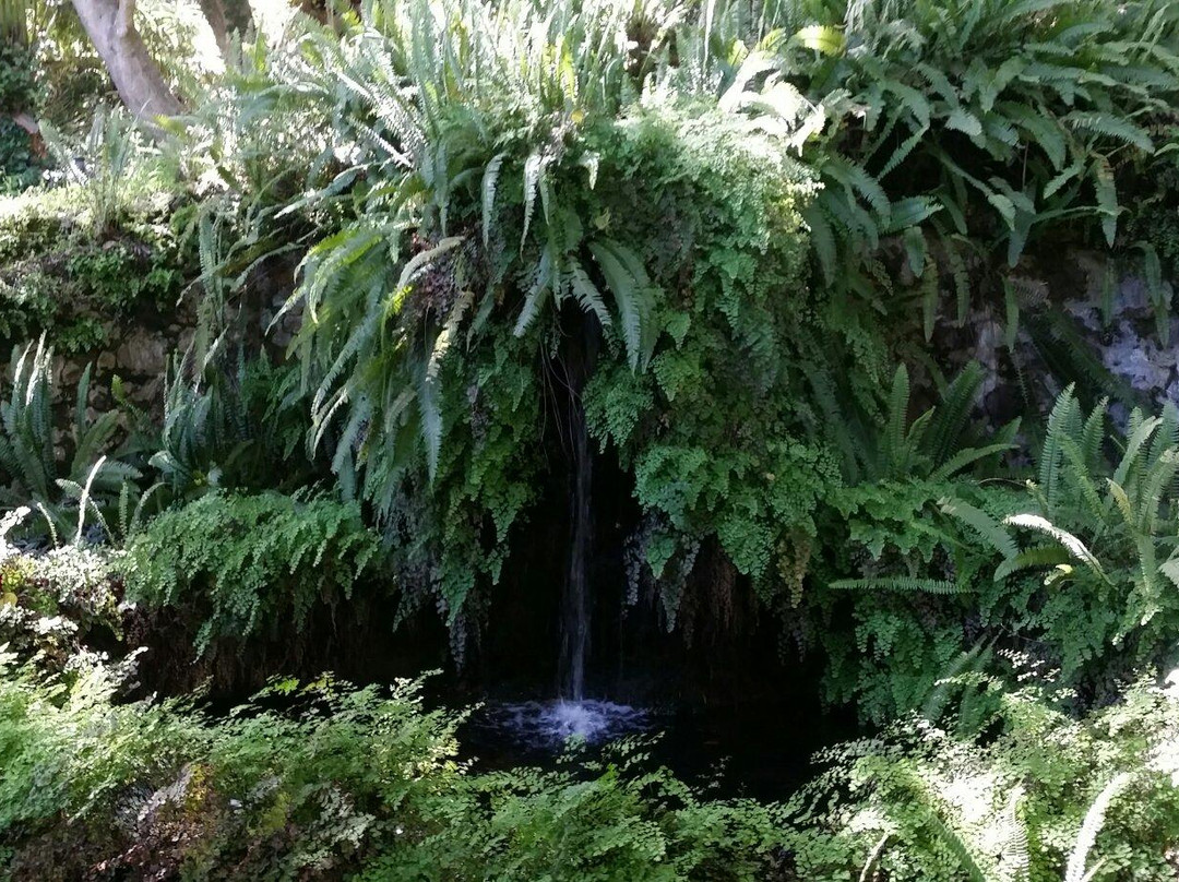 Jardin Botanico Historico La Concepcion景点图片